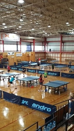 Międzynarodowy Obóz Tenisa Stołowego Brzeg Dolny 2026