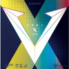 Okładzina XIOM Vega X 
