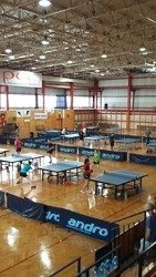 Międzynarodowy Obóz Tenisa Stołowego Brzeg Dolny 2026