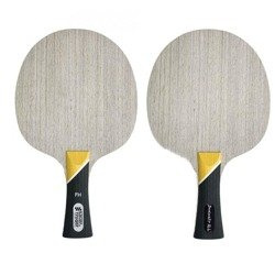 Deska Sauer Troeger Dominate all